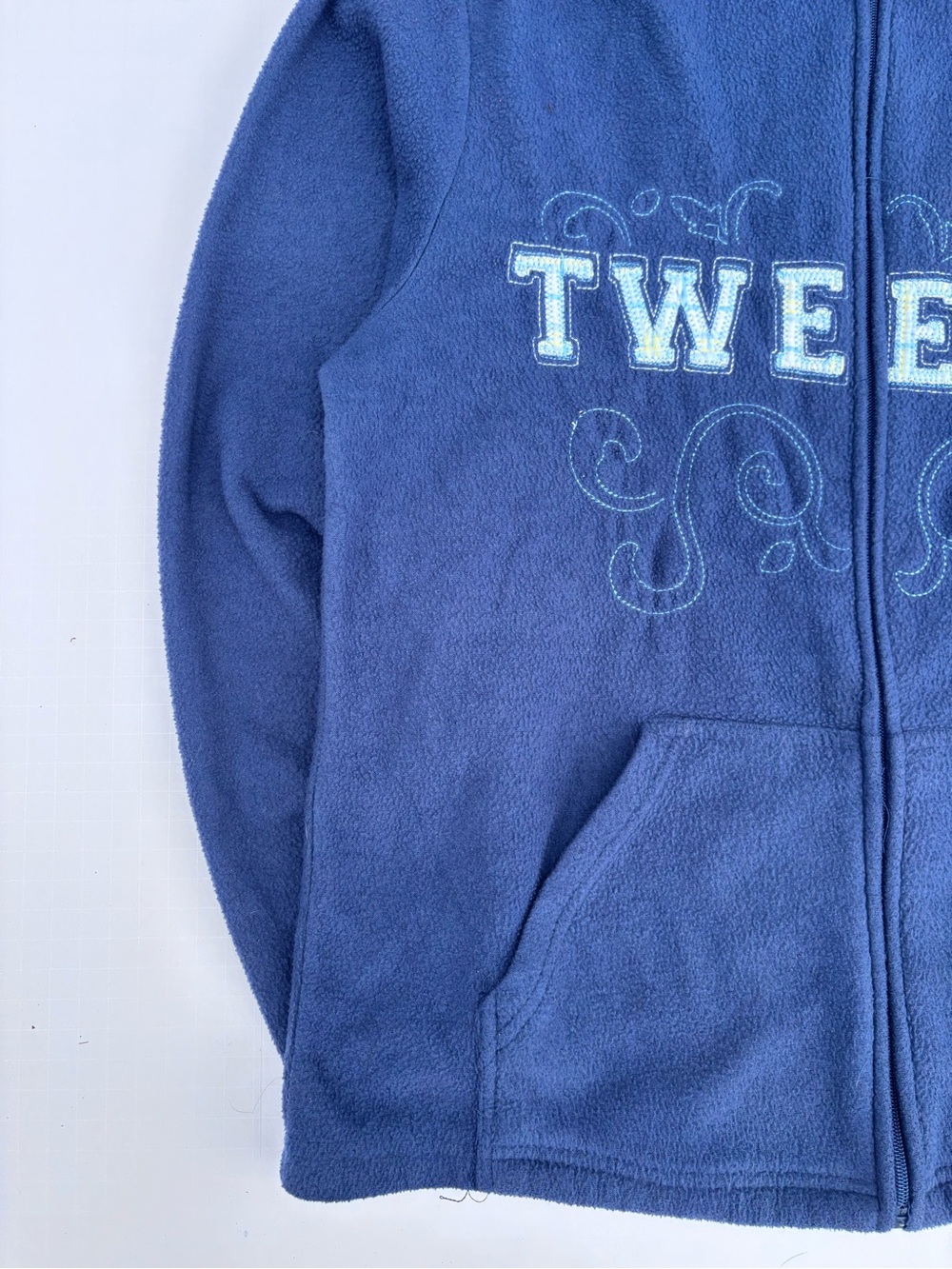 Warner Bros. Navy Blue Zip-Up Hoodie with Tweety Embroidery - Picture 3 of 4